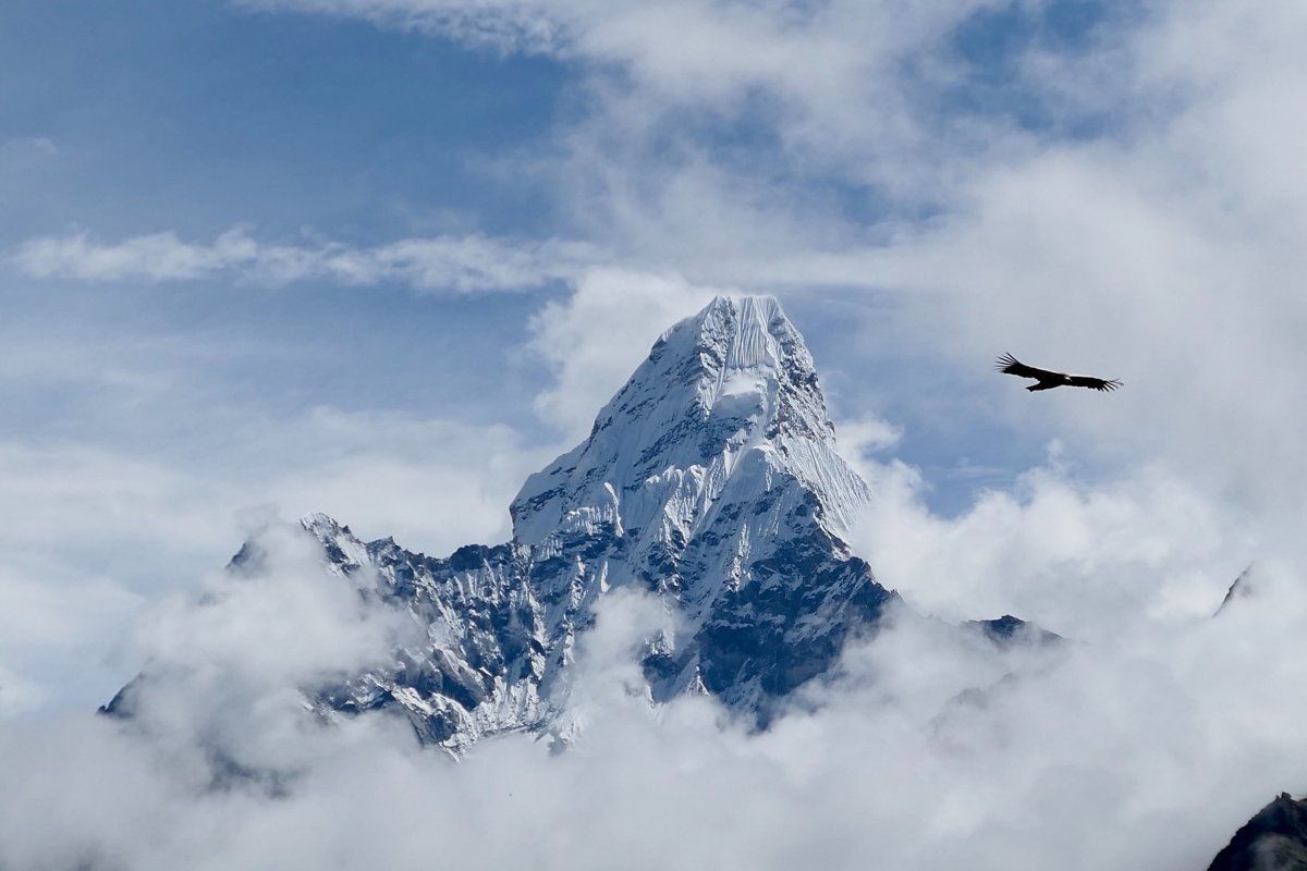Himalayan tradition