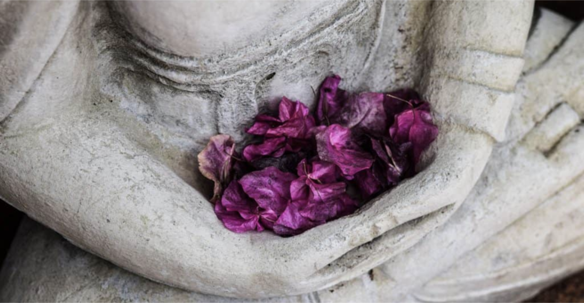Vānaprastha, letting go, beyond transience 